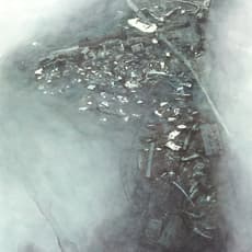 Theresa Bloise