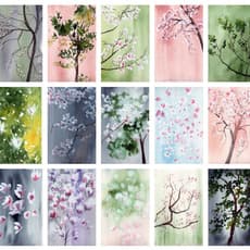 Anne Patterson