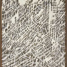 Han Jin