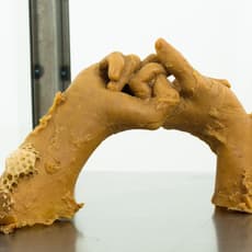 veronique d'entremont