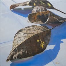 Juergen Marke