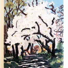 Daniel Heidkamp