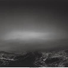 DoDo Jin Ming