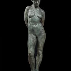 Dr Gindi