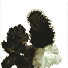 Kohei Nawa
