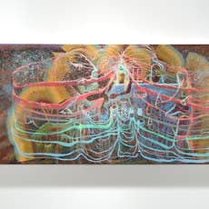 Jen Hitchings