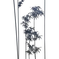 Kwang Ho Kim