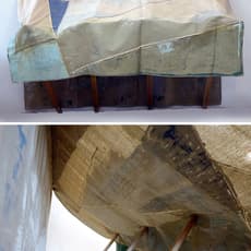 Alice Raymond