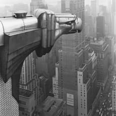 George Tice