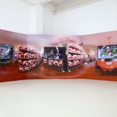 NEWONE WANG