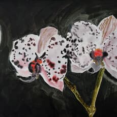 Ruschka du Toit