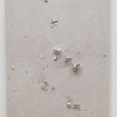 Zhan Wang