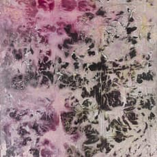 Adrian Schiess