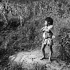 Antonio Turok