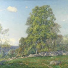 Wilson Irvine