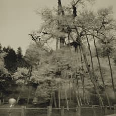 Keiichi Ito