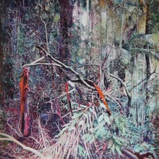 Sarah Hendy