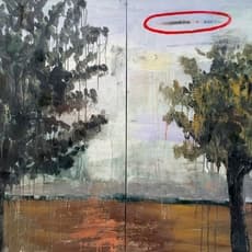 Stephanie Brody-Lederman