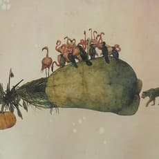 Avishek Sen