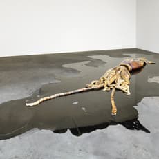 David Zink Yi