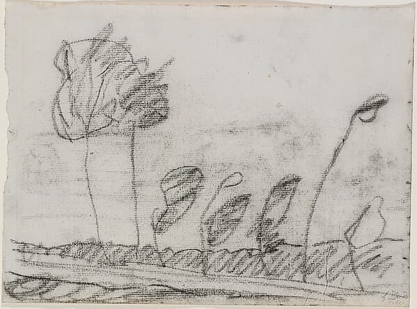 Seven Trees